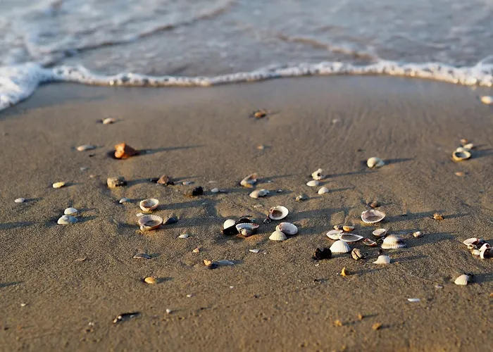 Welcoming With Pool-beahost